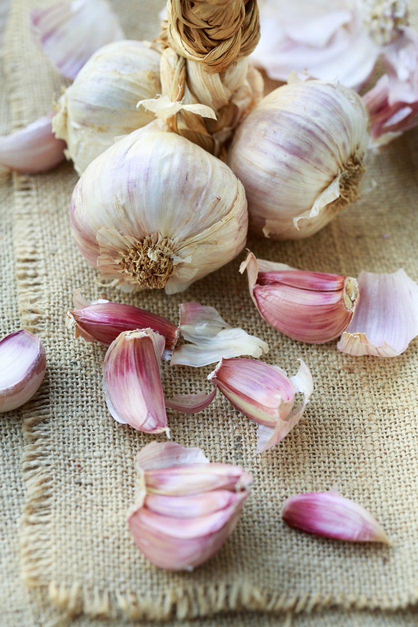 Inchelium Red – Garlic s